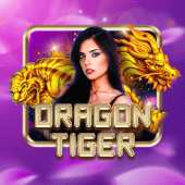 Dragon Tiger table plus